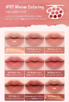 dasique ムードペインティング リップ＆チーク 01