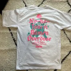 Item thumbnail for item 6c0bea4e-df4e-4e87-8e37-ce6de4644154