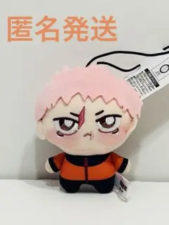 2026年最新】ちょぴぬい 虎杖の人気アイテム - メルカリ