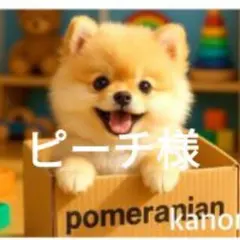 ピーチ様確認用