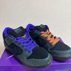 Nike Dunk Low SP 