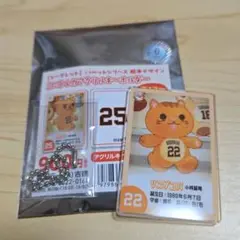 ジャイアンツ リスがコバ ミニトレカアクリルキーホルダー