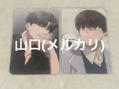 韓国BL BOMTOON 台湾TICA トレカ ワンちゃんには手をだすな