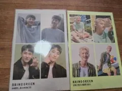 SEVENTEEN　BRINGGREEN　特典　ホシ