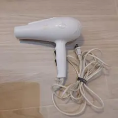 ヘアドライヤー ECO Dryer ALACIAL Quick Hair Dryer - ECOALA（エコアラ ）