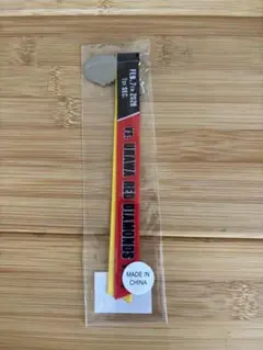 ジェフ千葉　浦和レッズ　開幕戦ボンフィン　キーホルダー