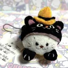 しろたん　ハロウィンコスチューム　マスコットクリーナー　黒猫　白あざらし　レトロ
