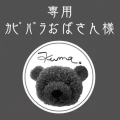 カピバラおばさん様 リクエスト 4点 +オプション２点