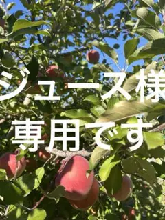 ジュース様専用です