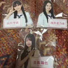 Item thumbnail for item a510d35e-462d-401d-86aa-4656eb76252a