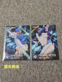 プロ野球チップス 2026 第2弾 スターカード 日本ハム 2枚セット