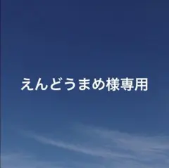えんどうまめ様 リクエスト 4点 まとめ商品