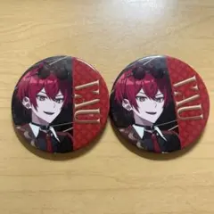 騎士X ばぁうさん 缶バッジ