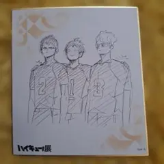 ハイキュー!! 影山飛雄　山口忠　月島蛍　ハイキュー展　色紙