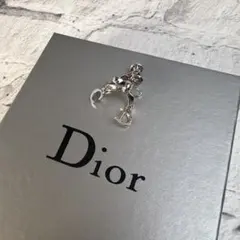 【最終処分SALE】Dior ディオール 片耳 イヤリング A-9036