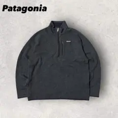 【パタゴニア】ベターセーター　ハーフジップフリース　ネイビー　XL 15年製 d