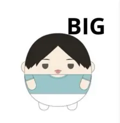 B*)様 ハイキュー!! ふわコロりんBIG 国見英（制服ver.）【アニメイト