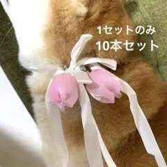 業務用 ペットトリミングリボン チョーカー 10本セット（結ぶタイプ）