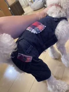 ペットパラダイス　オーバーオール　3S