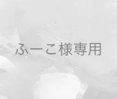 ふーこ様 リクエスト 2点 まとめ商品