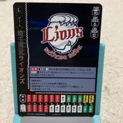 ドリームオーダー　HEROES of 2025 ライオンズ　チームカード