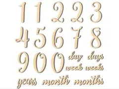 月齢フォト ベビーマンスリーカッド 20枚 天然木製レターバナー ニューボーン