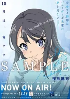 2026年最新】青春ブタ野郎はバニーガール先輩の夢を見ないポスターの