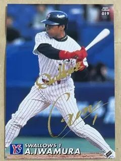 岩村明憲選手2009年レイズ時代の 公式メジャーリーグ野球ボール サイン入り 2025年最新】岩村明憲の人気アイテム - メルカリ
