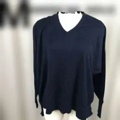 AMERICAN HOLIC <M> セーター　ネイビー Vネック 綿33