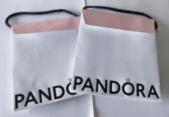 Pandora ショップ袋 2枚セット（6/15までお値下げ中）のサムネイル