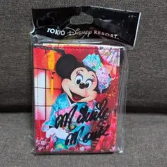 イマジニング　ミニー実写　ミラー