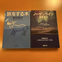 【希少・レア】星野道夫の世界・ノーザンライツ 2冊セット 2026年最新】ノーザンライツ 星野道夫の人気アイテム - メルカリ