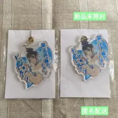 匿名配送 新品未開封 エイプリルフール アクリルキーホルダー 花畑チャイカ 2点