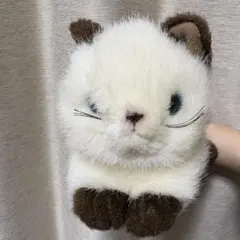 Item thumbnail for item 05c11f35-1271-4237-bf3a-258c6494e532