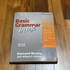 Basic Grammar in Use THIRD EDITION