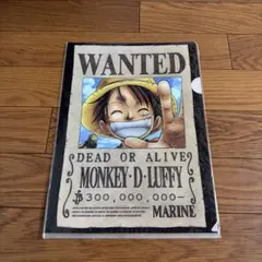 ONEPIECE ワンピース モンキー・D・ルフィ メモリアルクルーカード