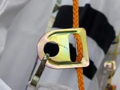 Item thumbnail for item 8d644481-6cc0-4e42-855a-54bb12f4195c