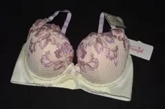 トリンププレミアム レッドレーベル 0065 ブラジャー E75