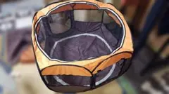 Item thumbnail for item 708fd0e2-4dc5-4617-914b-b33d5d8489c7