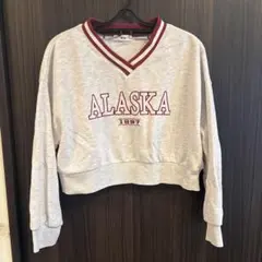 WEGO カレッジロゴ クロップド スウェット グレー F