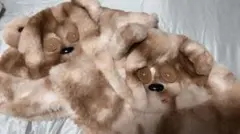 ティム　バケハ