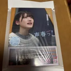 新垣結衣 二十歳の献血 ポスター - メルカリ