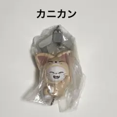 SKZOO つまんでつなげてますこっとvol.2 ジニレット jiniret