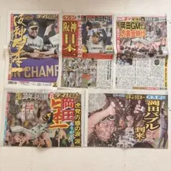 阪神タイガース 優勝特集 新聞　2023年 5点セット