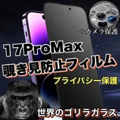 プライバシー保護！【17ProMax】覗き見防止ガラスフィルム＋カメラ保護