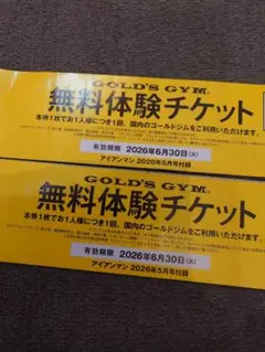 GOLD'S GYM 無料体験チケット 2枚セット　ゴールドジムのサムネイル
