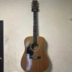 ♪Greco F-280ハカランダ•Gnecoロゴ・ハードケース♪ - メルカリ