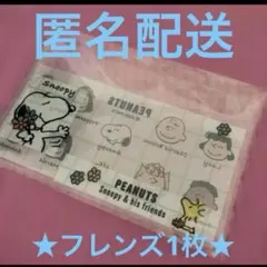 スヌーピー　マイナンバーカードケース　Peanuts フレンズ　1枚　④