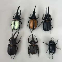 Item thumbnail for item 5968509b-d9ce-420d-9b63-4683ea1553e7