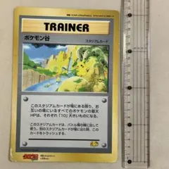 ポケモンカード ポケモン谷 ジャンボカード